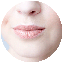 Categoría nariz y labios