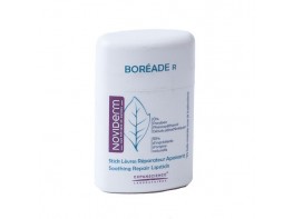 BOREADE R STICK REPARADOR 9,2 GRS.