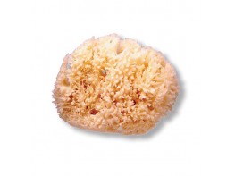 Suavinex Esponja natural grande