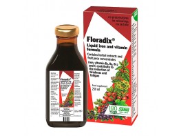 Floradix 250ml